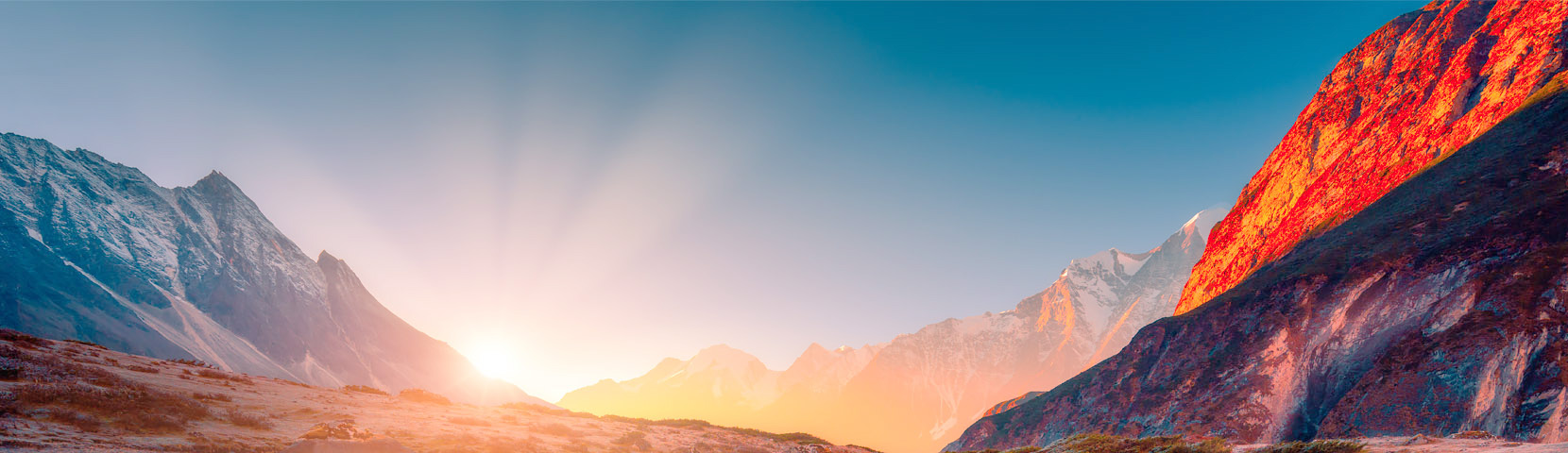 关于PA尊龙凯时